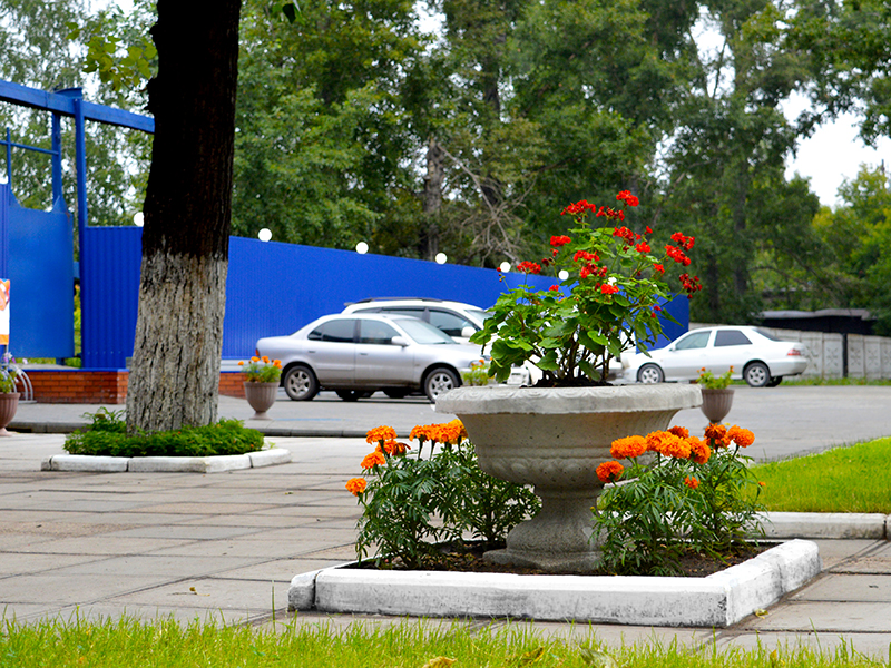 Рубцовский институт (филиал) Алтайского государственного университета готов к новому учебному году
