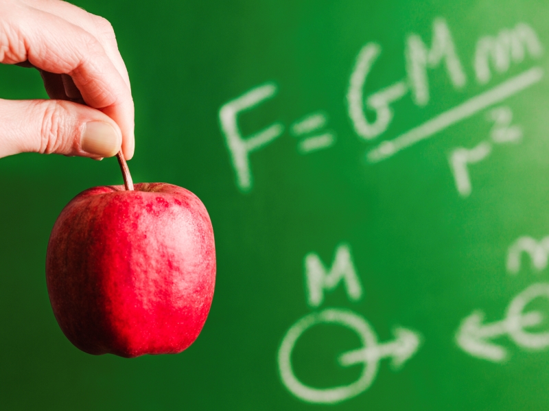 Наука в жизни: кафедра Математики и прикладной информатики о значении яблок и утят для программиста