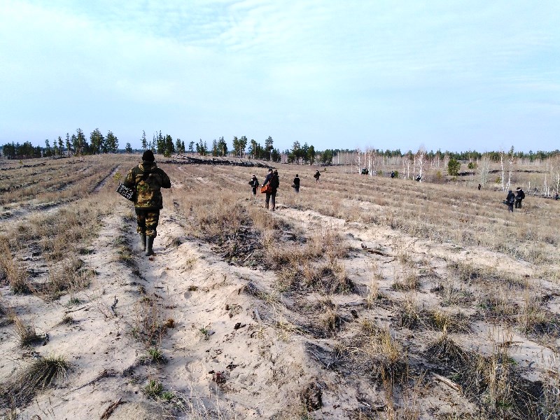 Погода мирный угловского алтайского края