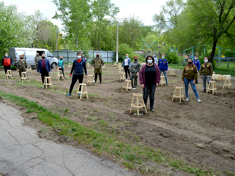 В рамках акции "Сад Памяти" студентами Рубцовского института высажено 50 молодых елей